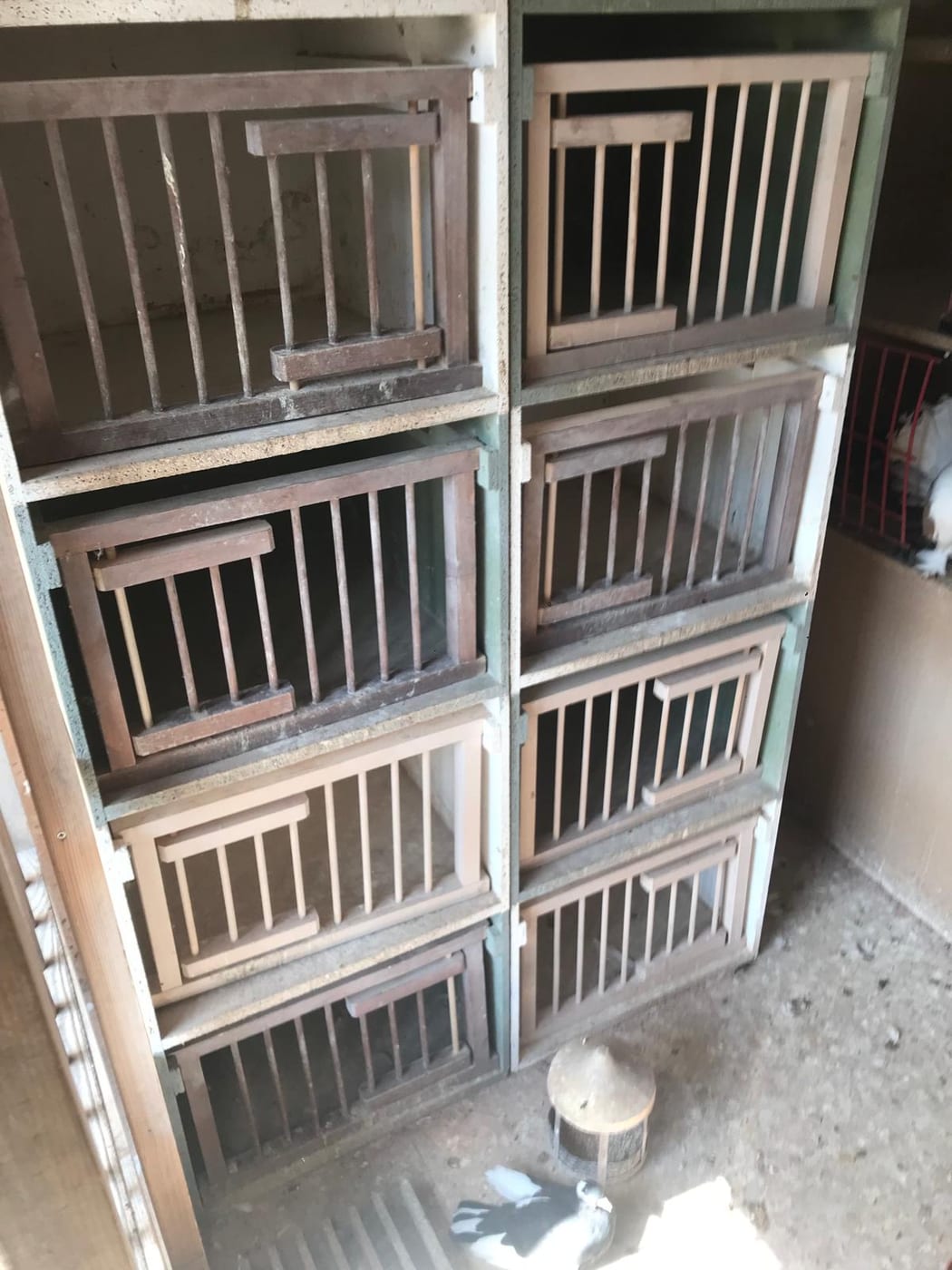 Set of 12 widowood boxes
