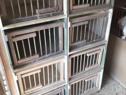 Set of 12 widowood boxes